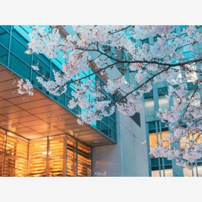 ku娱乐官网登录